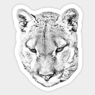 Drawing conversion of a Cougar's face Sticker